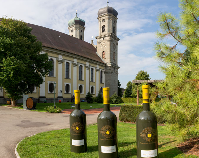 Häfler Weinfest am Schloss Friedrichshafen 