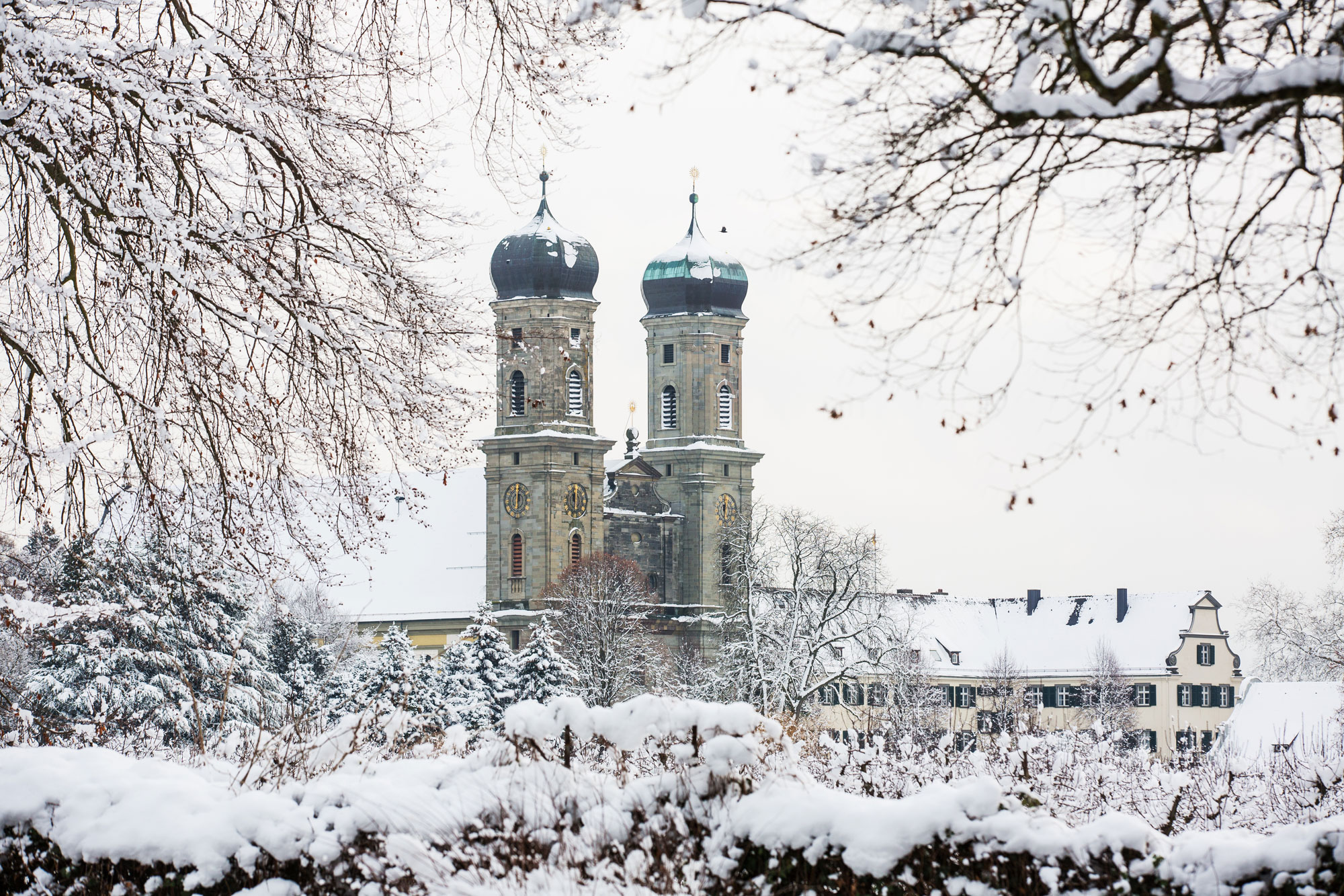 Schlosskirchenführung im Advent