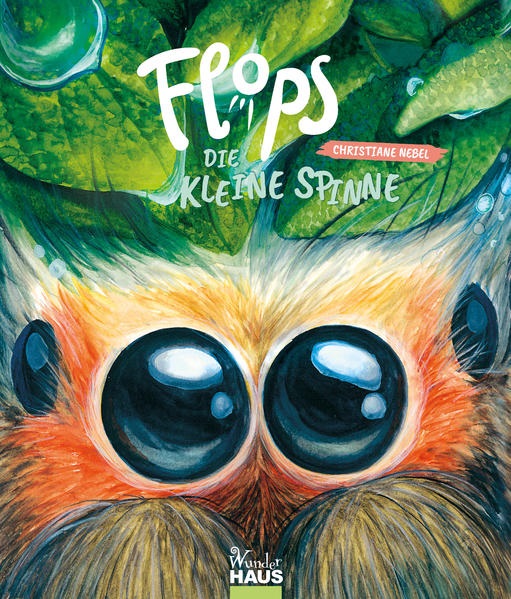 Vorlesestunde „Flops, die kleine Spinne“