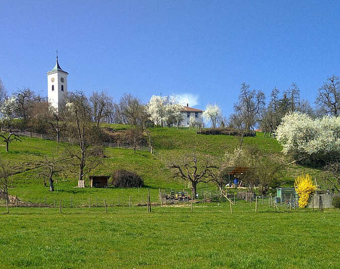 Frühjahrsblüte im Panoramagarten