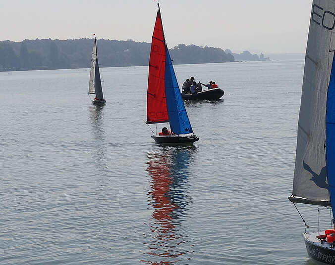 fünf kleine Segelboote und ein Motorboot auf dem Bodensee
