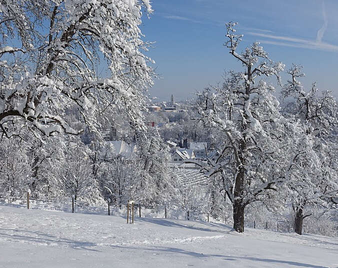 Panoramagarten im Winter