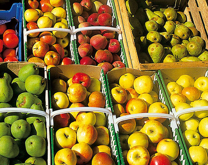 Wochenmarkt Ailingen verschiedenes Obst