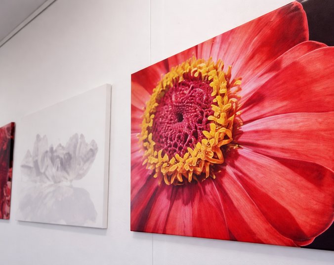 Kraftblüten (Foto: Sabine Kunzer)