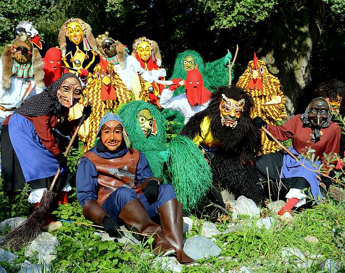 Narrenzunft Seegockel