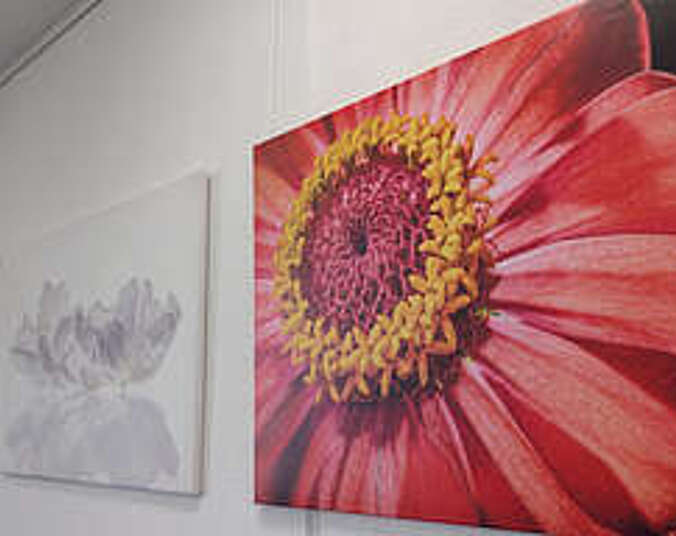 Kraftblüten (Foto: Sabine Kunzer)