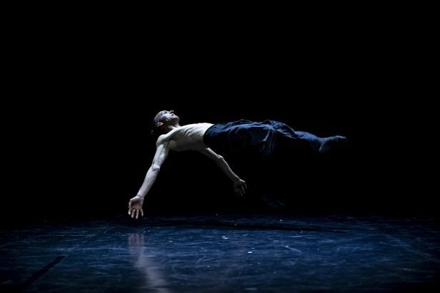 SOLOCOREOGRAFICO - Germany Edition 2026